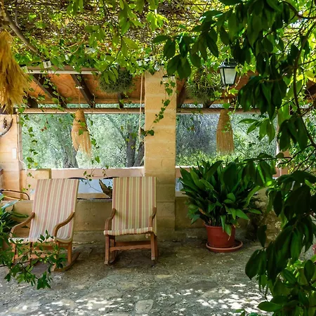 Ses Solls * Petra (Mallorca)